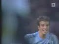 van der vaart