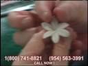 Cake Decorating Course