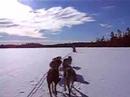 Sled Cruising on Frozen Lake 2