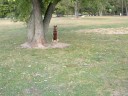 yokie in lonely park