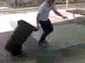 merbz bin skills 2