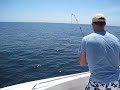 Reeling in a barracuda