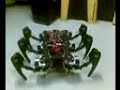 Phoenix, a hexapod robot