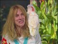 Parrot Sanctuary