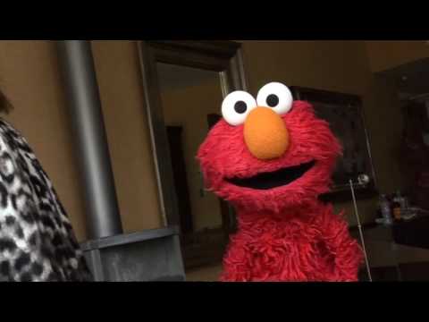 Elmo performs Beyoncé's Single Ladies!