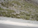 Viaje en Moto