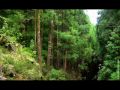 INFOBIO Thabata - nº 32 - Babilônia.wmv