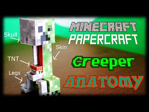 they armor : Why papercraft (Minecraft a steve Explode? Papercraft bendable of do Creeper Anatomy they armor : Why papercraft (Minecraft a steve Explode? Papercraft bendable of do Creeper Anatomy
