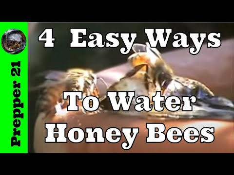how to provide water for bees