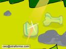 forest fires