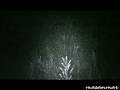videos de Voces en una noche de invierno