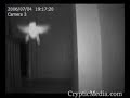Fairy Caught Flying On Camera