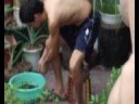 urban permaculture rooftop (Sneak preview)