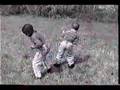 The Chicken Dance