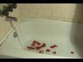 videos de Watergate - A Short Film