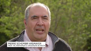 Messaġġ dwar il-Protezzjoni tal-Embrijuni - Pierre Schembri Wismayer, Prof fl-UOM