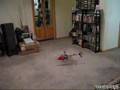Art-tech Falcon 3d first hover - basement