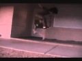 SLO-MO Late Bigspin By Problemskater