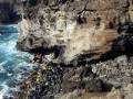 videos de Chili - Rapa Nui - Grot