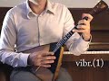 Methode balalaika vibrato