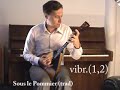Methode balalaika vibrato