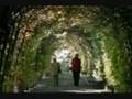 the garden-mirah