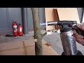 Charing the Trees (BSA)