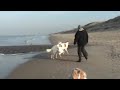 Kennismaking met Gorky Kennismaking met Gorky