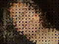 teledysk, klip, Annie Lennox,- Little Bird