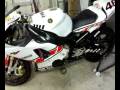 videos de r1 nicola