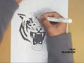 delma tiger ????