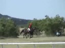 CHARLES RIDING TANDI