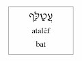 Learn Hebrew - Animal Vocabulary (English version) Learn Hebrew - Animal Vocabulary (English version)