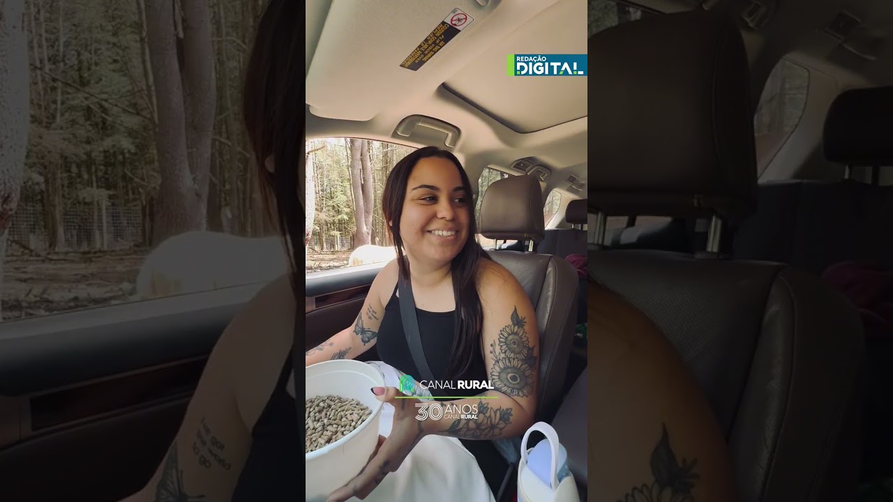 Amigas levam susto com “visita gigante” pela janela