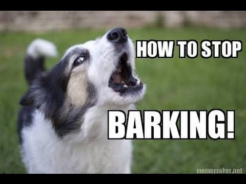 how to train gsd not to bark