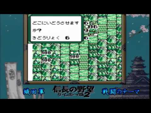 動画