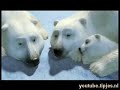 CocaCola's beautiful Christmas Commercial