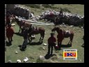 Los Ayllus De Apurimac - Latigo Negro