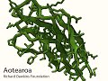 Evolution: 106: Challenge Puzzle Two