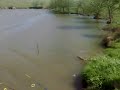 Imblanzitorul de serpi Giurgiu