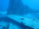 Sonesta Plane Wreck Dive, Aruba  (Part 2 of 2)