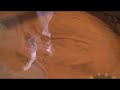 World's Largest Dangerous Animals Snakes Scorpions Rattlesnake Tarantula python Exhibit