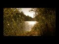 McKenzie River - Prostate