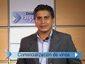 DESAFIO EMPRESARIO- Comercialización de Vinos-Mercado Interno Exportación-Bodegas Patagonicas