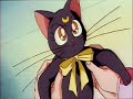 ~*Sailor Moon S La Pelicula Espanol Latino( 3~6)*~