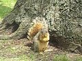 103_7311.mov 103_7311.mov