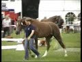 St.Pr.St. Feines Fr�ulein OH