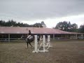 Manfred Jumping at Grant Cashmore Clinic May 07