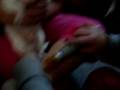 videos de Tequilla And The Pedi Paws