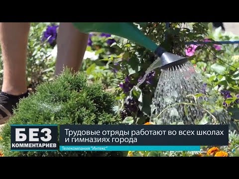 Без комментариев. 24.06.18. Трудовые отряды в школах.